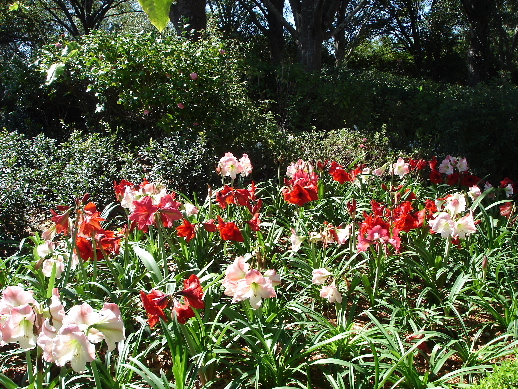 UK Gardens