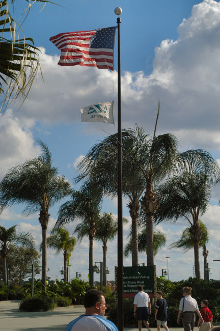 USA Flag