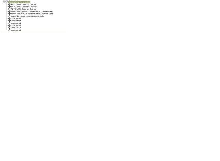 usb1