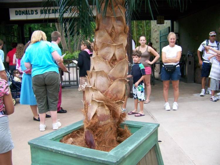 vacation07-380