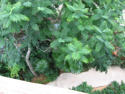 View down from AKV Room 5018