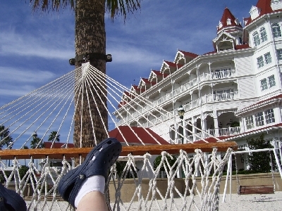 View from a Hammock!