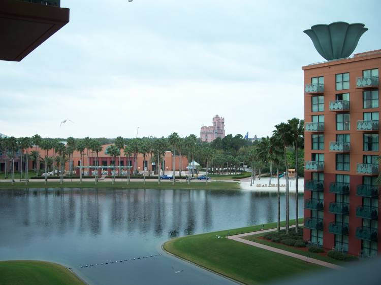 view from Dolphin room