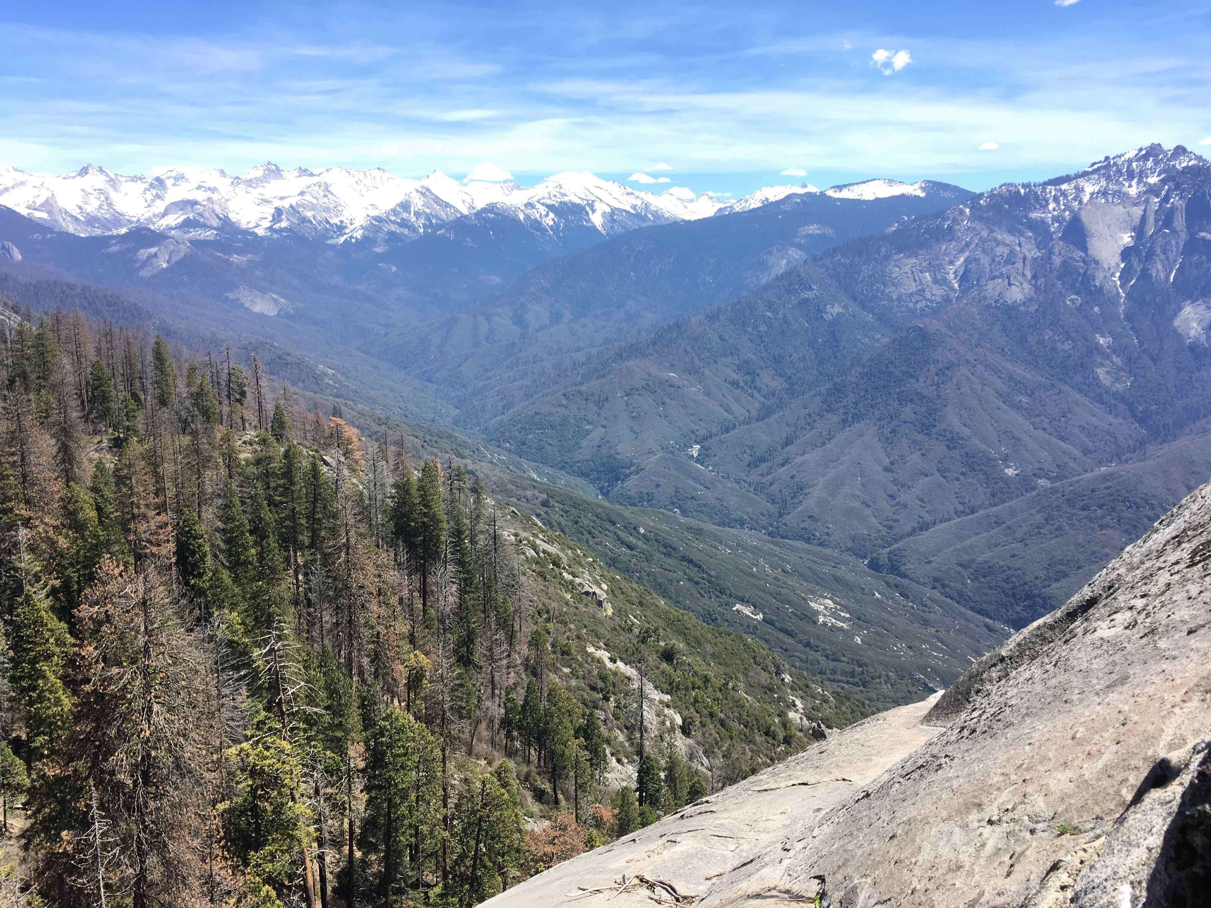 View from Moro rock