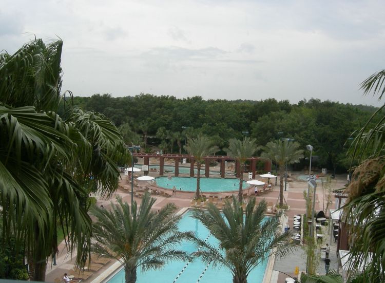 View from our 6th floor Dolphin room