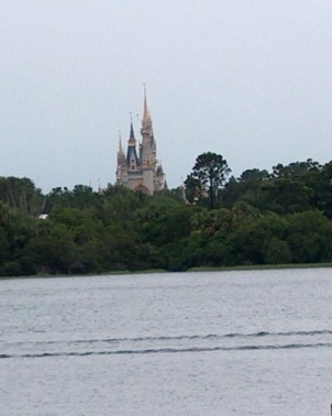 View from Poly beach