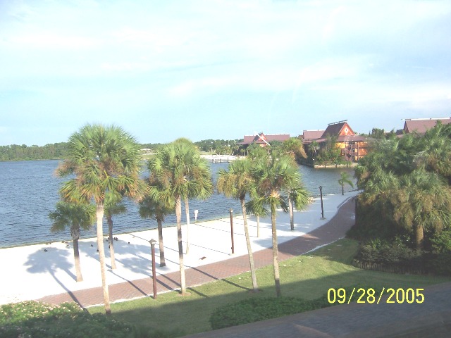 View from POLY room