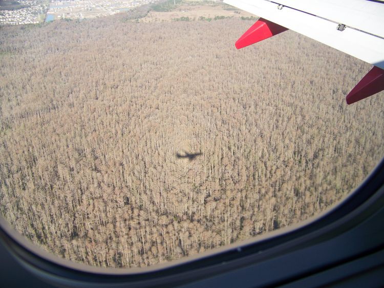 View from the plane