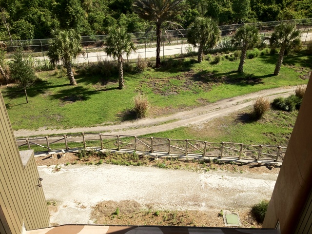 View of narrow portion of Pembe Savanna