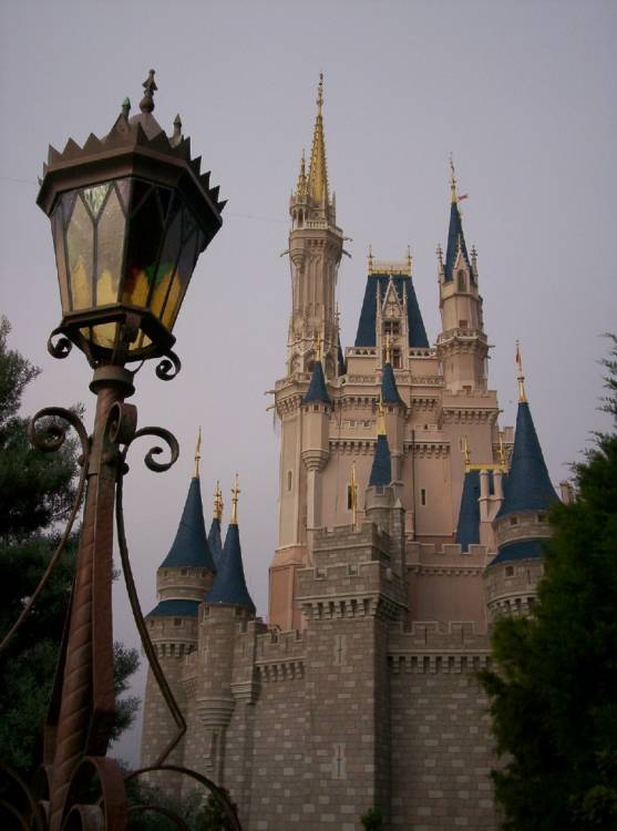 View Of The Castle