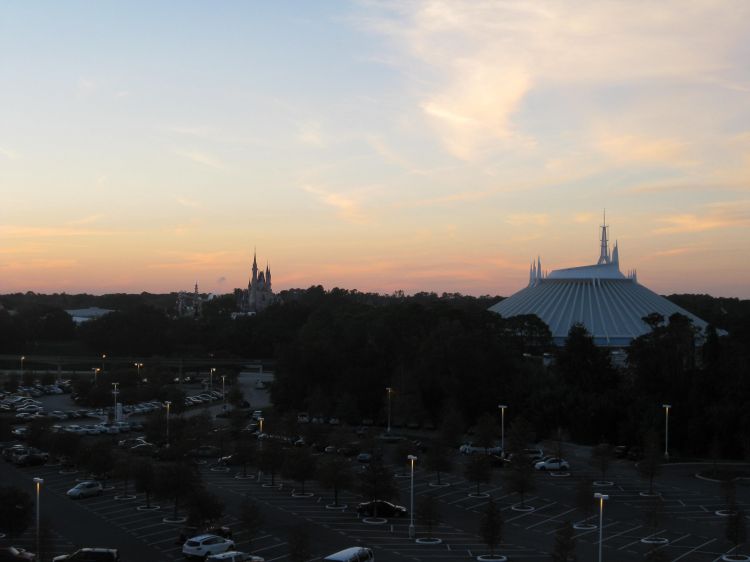 view