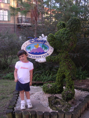 VWL DVC Sophia