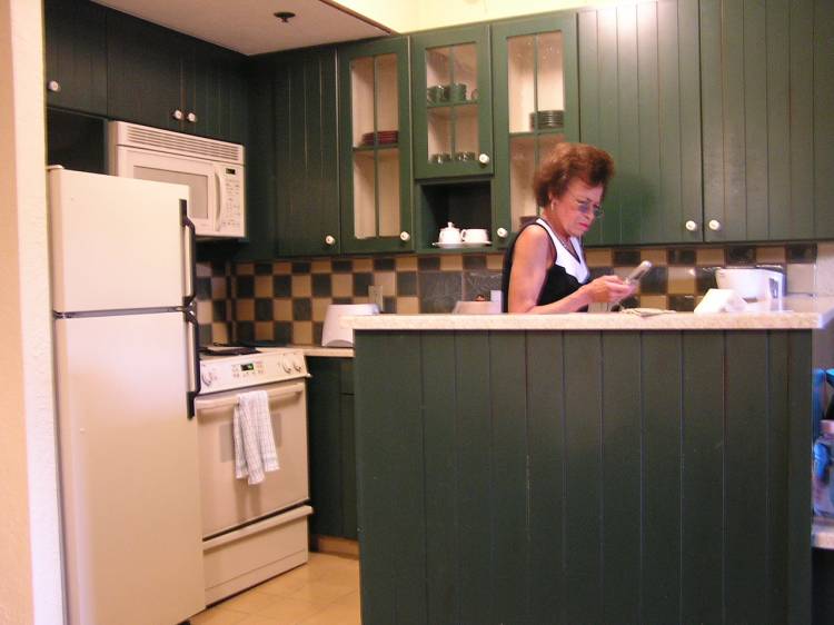 vwl kitchen