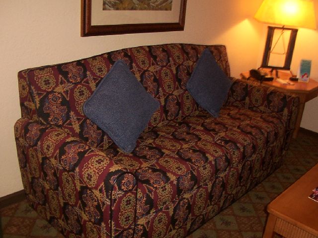 VWL - sleeper sofa