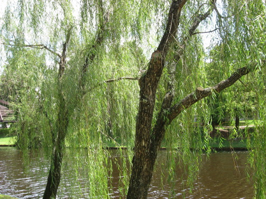 walkway between POR and POFQ