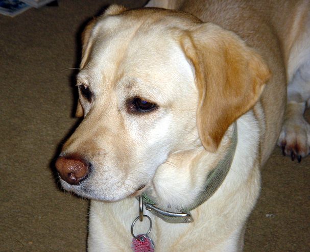 wally2