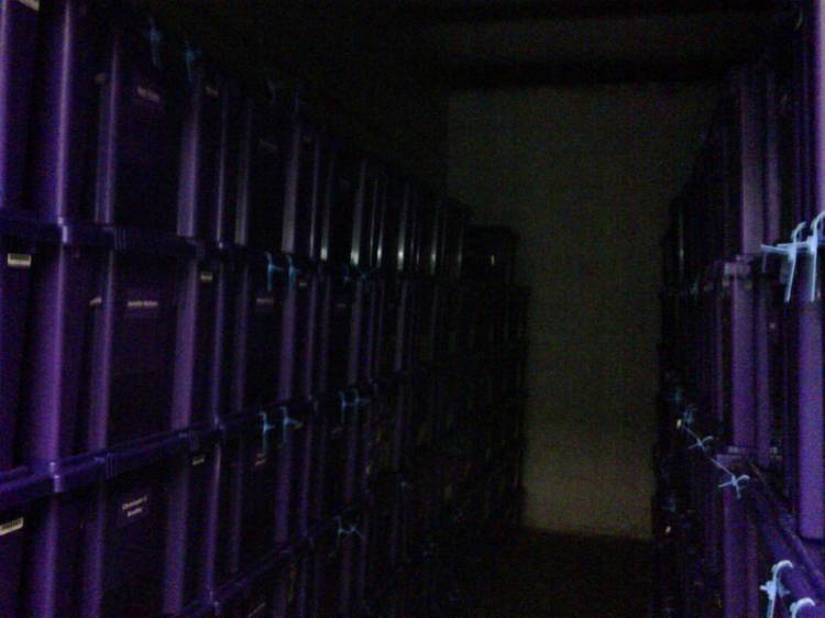 Warehouse2