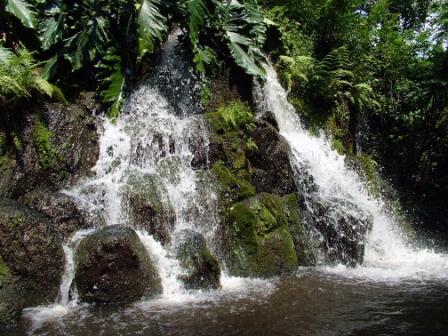 Waterfall on the Jungle Cruise