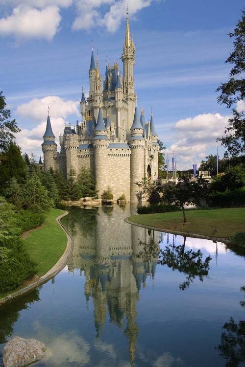 WDW Castle and It's reflection