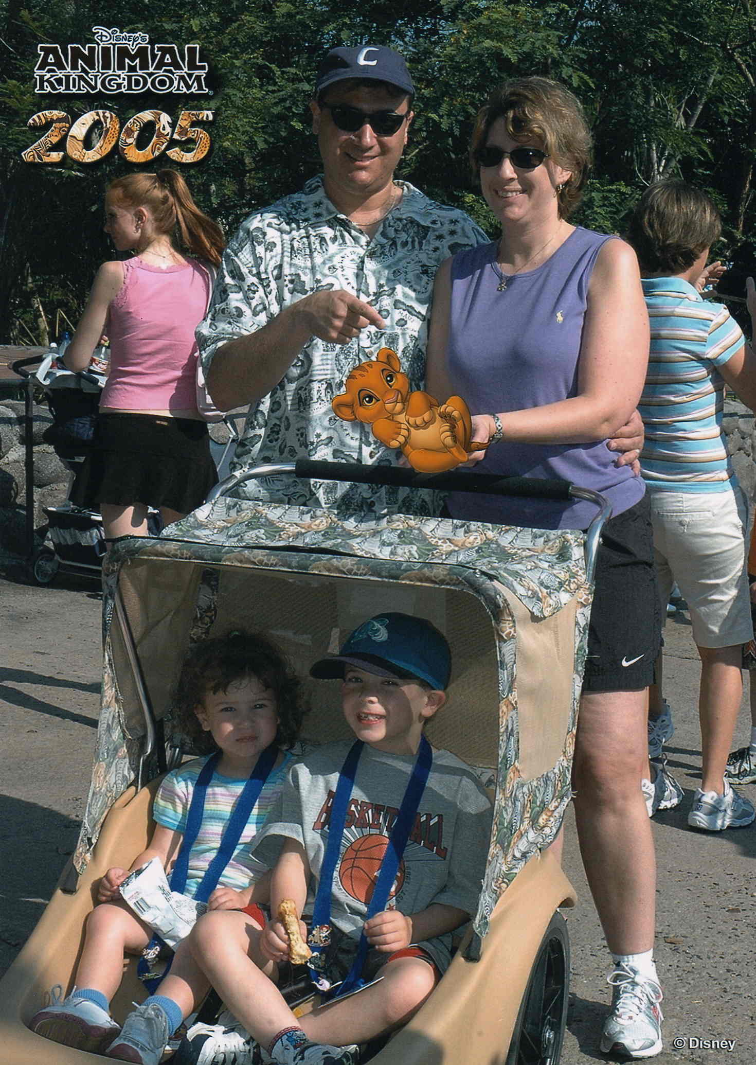 WDW-SimbaLo