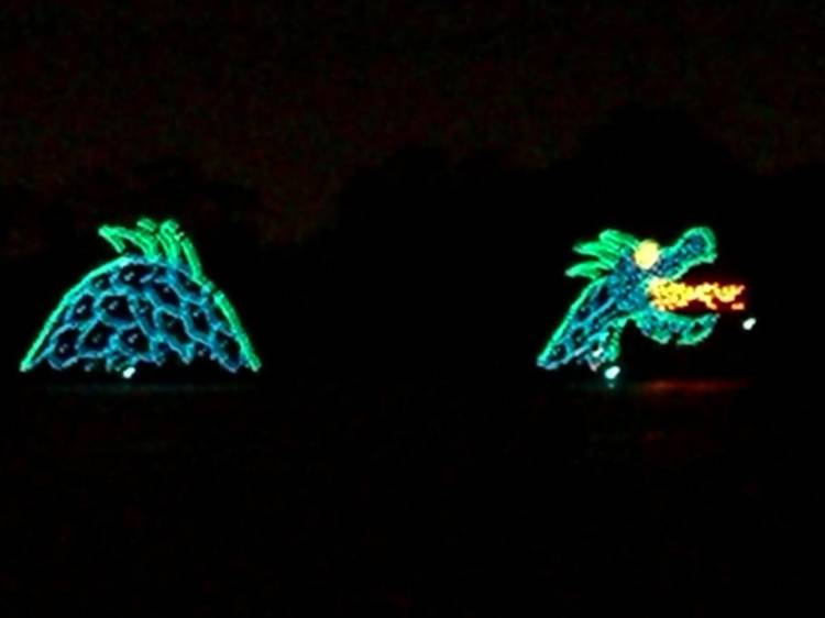 wdw108