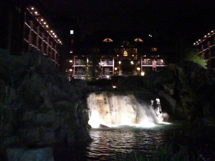wdw114