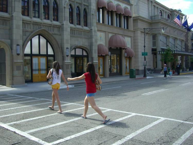 wdw118