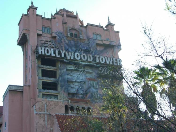 wdw12