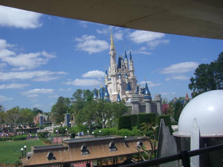 wdw163
