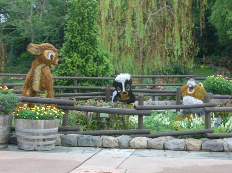 wdw174