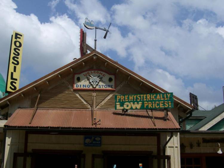 wdw184
