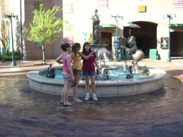wdw19