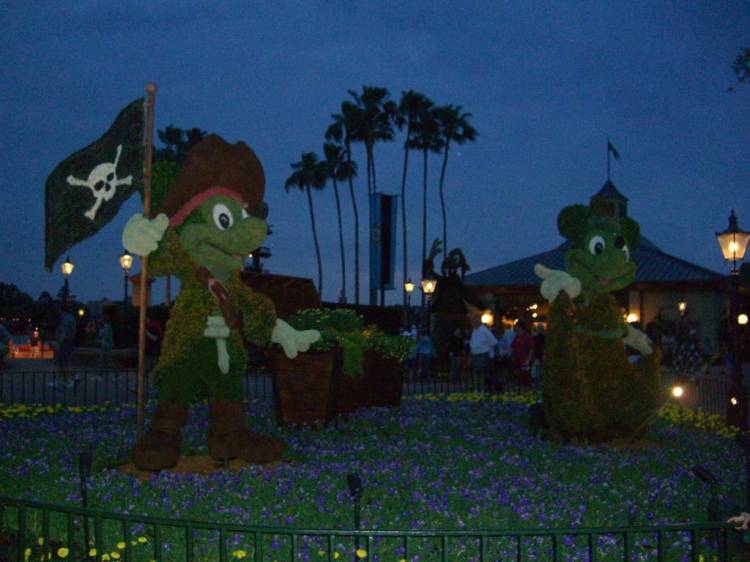 wdw192