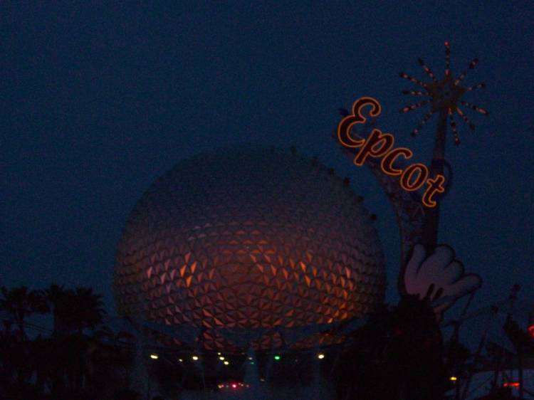 wdw194