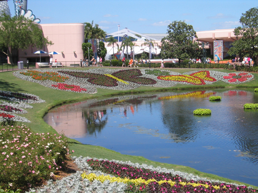 WDW2005-8