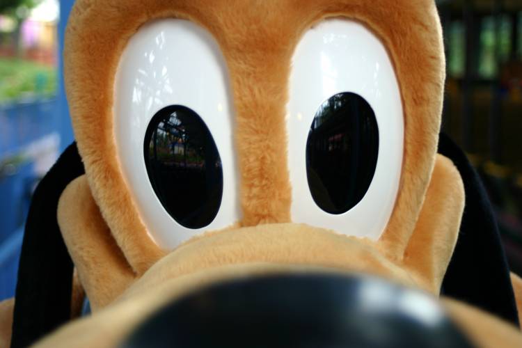 wdw2008_091