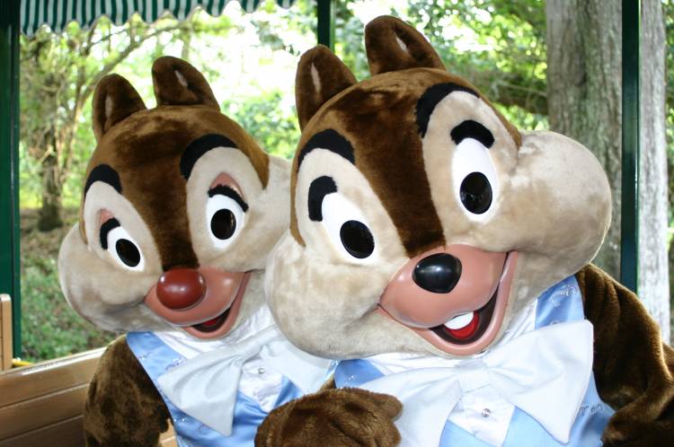 wdw2008_095