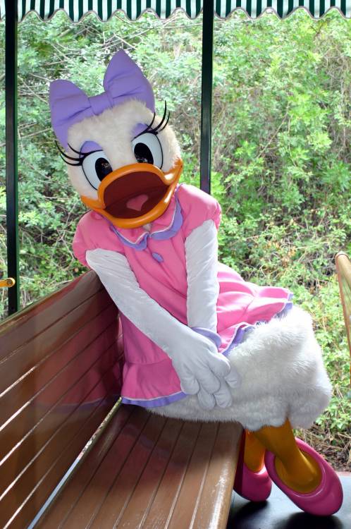 wdw2008_098