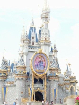 WDW5