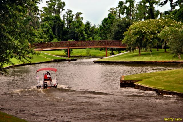 WDW50_640x480_