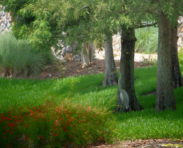 WDW53_640x480_