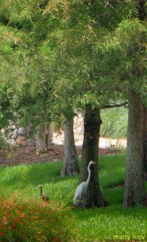 WDW54_640x480_