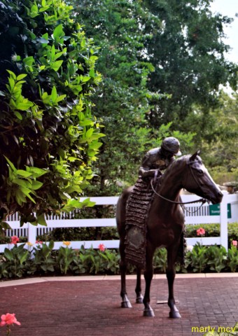 wdw62_640x480_