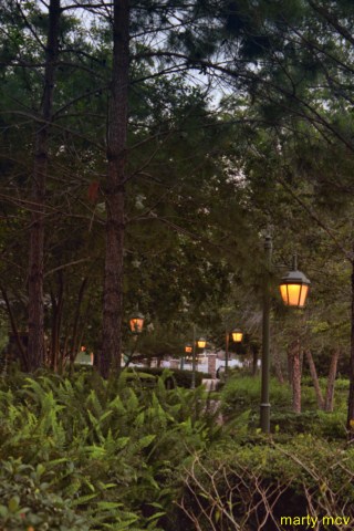 wdw66_640x480_