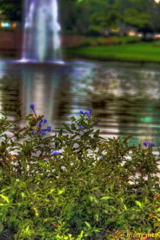 wdw71_640x480_