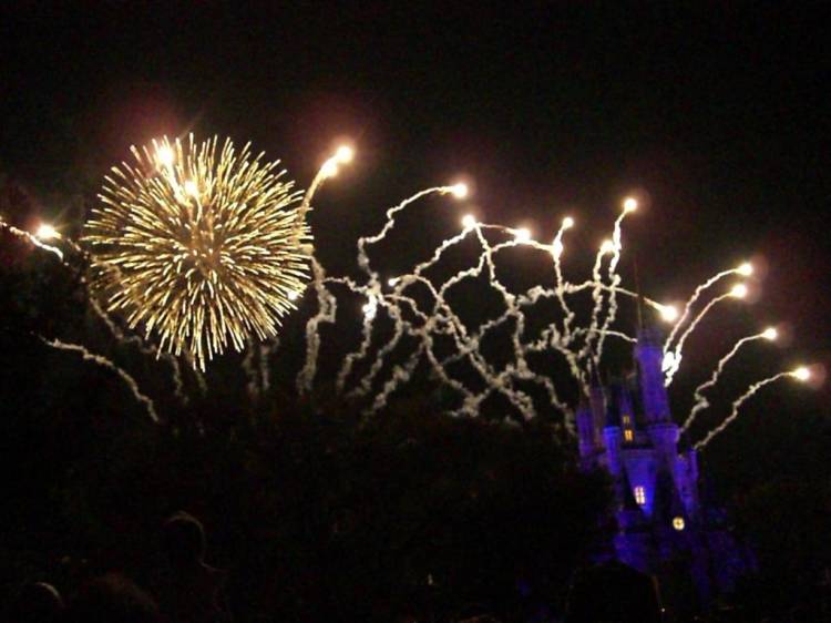 wdw84