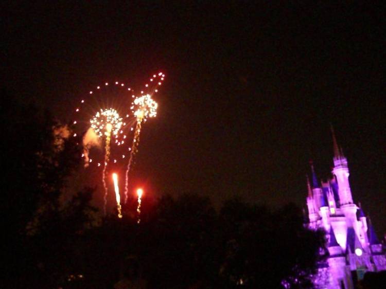 wdw85