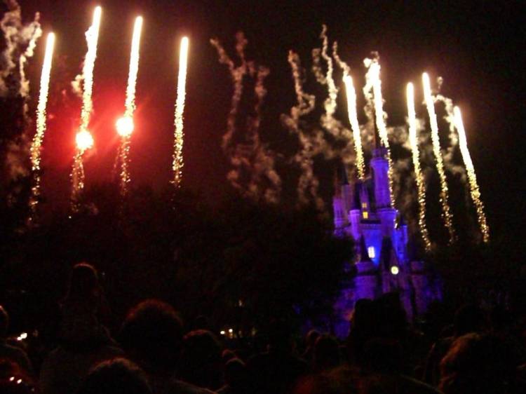 wdw86