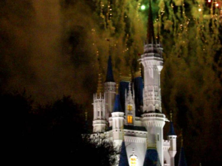 wdw88