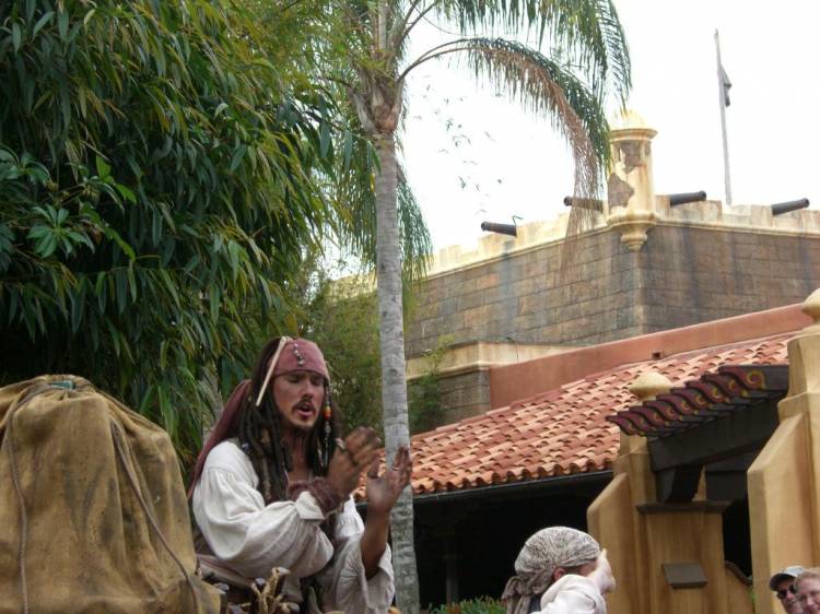 wdw97